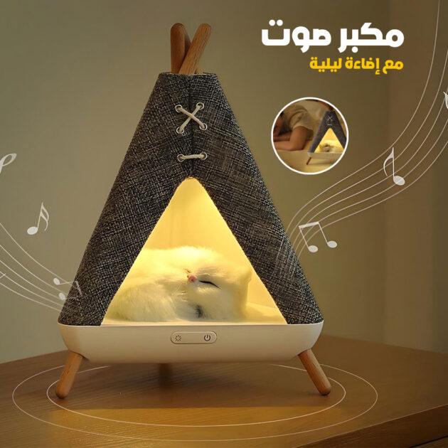 Veilleuse et Haut Parleur...