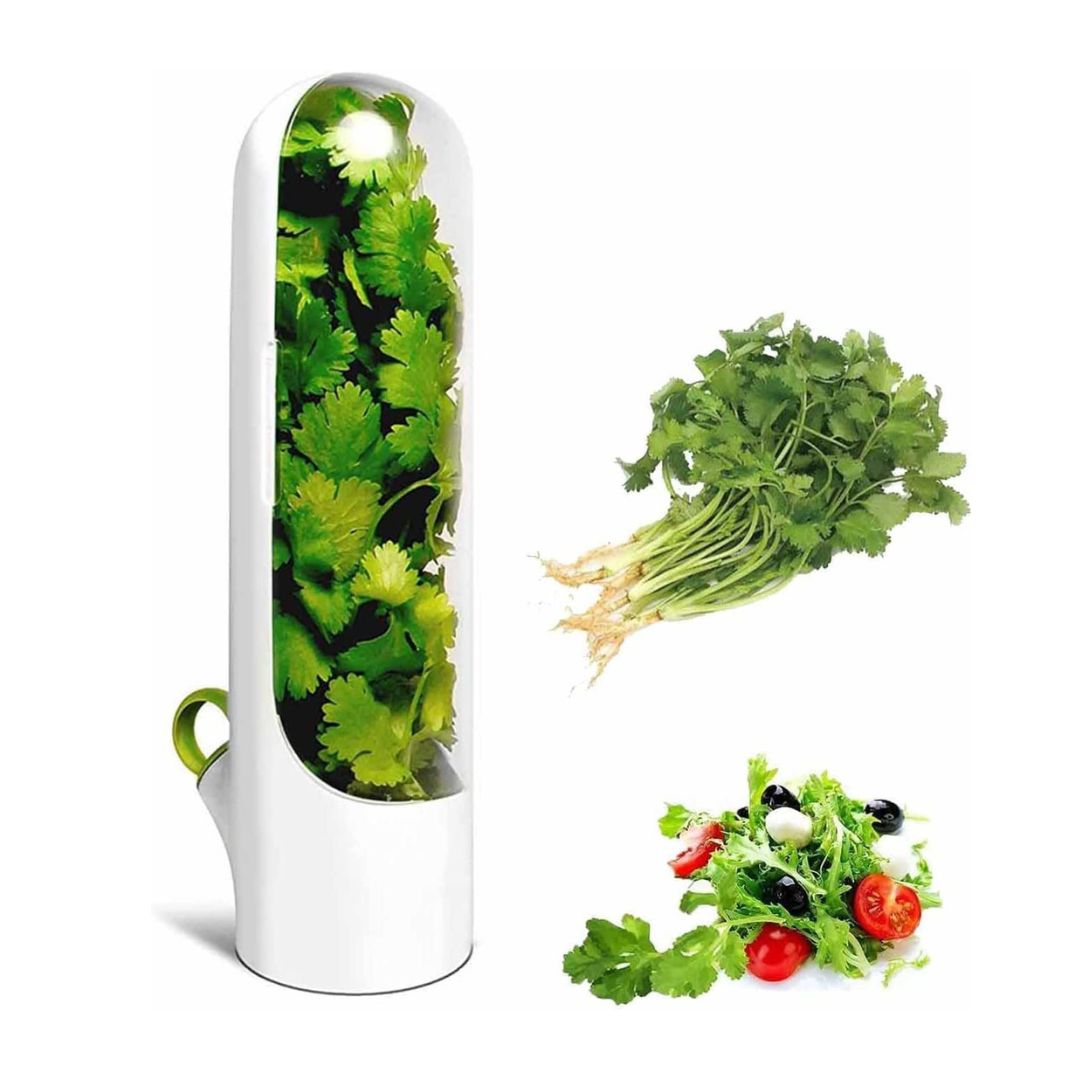 capsule de stockage et conservation d'herbes