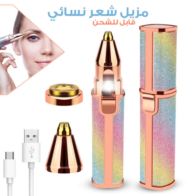 Rasoir électrique 2 en...