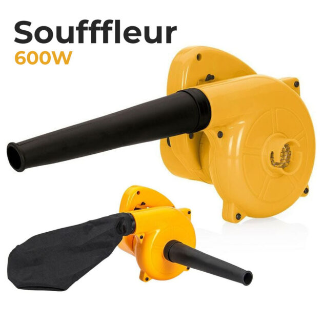 Aspirateur Souffleur pour Extérieur...