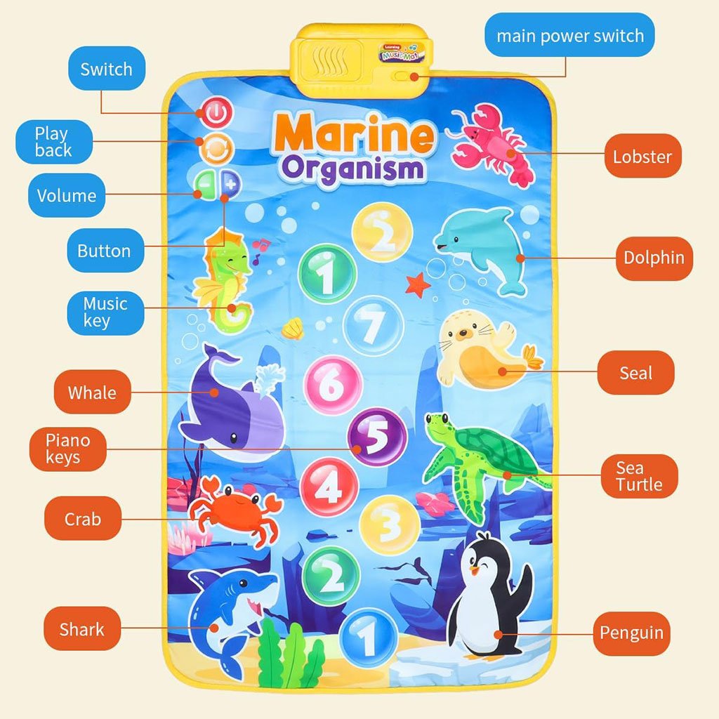 سجادة موسيقية ولعبة تعليمية 63 × 43 سم - الصورة 7