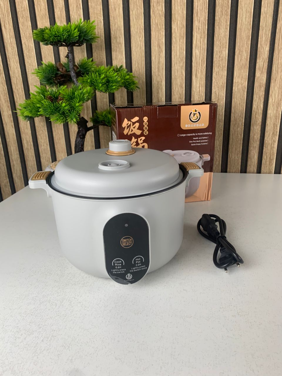 Cuiseur Electrique Multifonctionnel pour la Cuisine 20cm – جهاز طهي محمول - الصورة 4