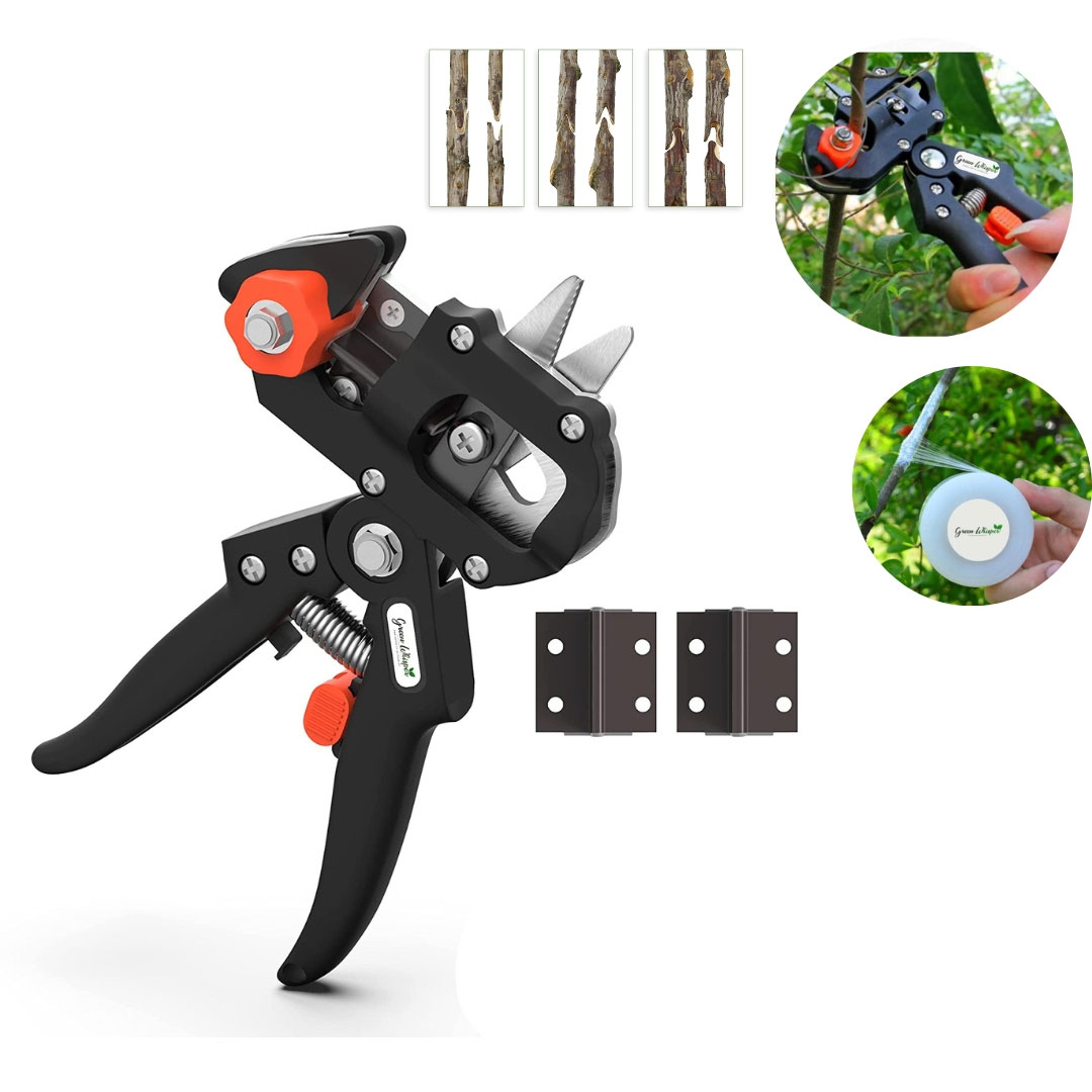 Ciseau de jardin à deux lames pour greffer des arbres - الصورة 2