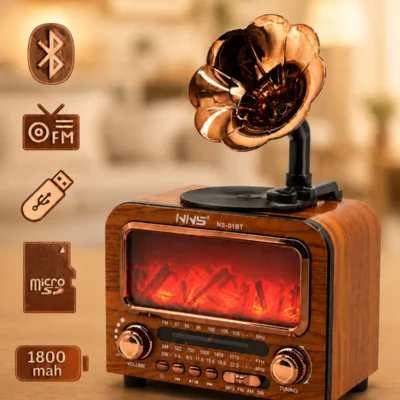 مكبر صوت بلوتوث كلاسيكي مع راديو NNS NS-01BT