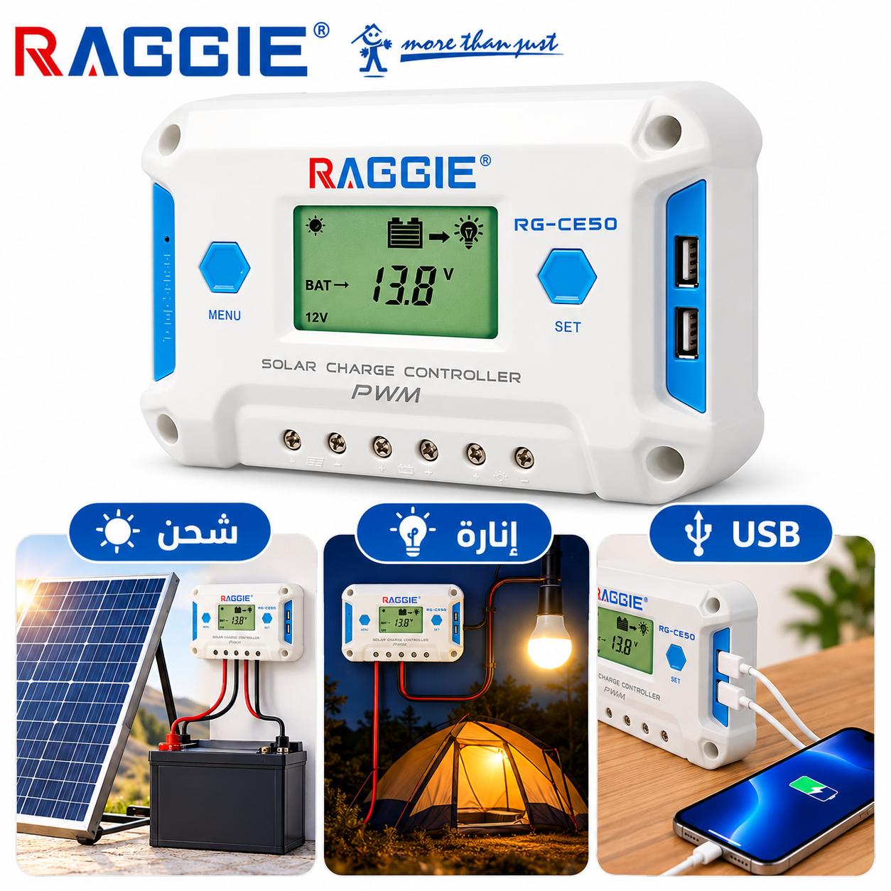 منظم شحن الطاقة الشمسية PWM RAGGIE RG-CE10 - الصورة 5