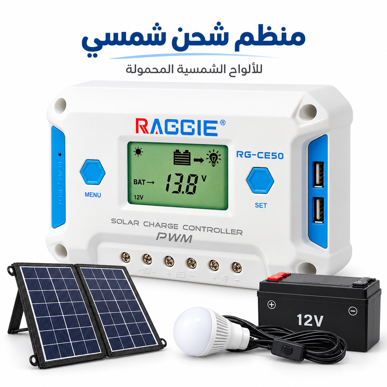 منظم شحن الطاقة الشمسية PWM RAGGIE RG-CE10 - الصورة 4
